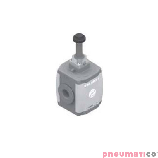 Zaw&oacute;r odcinający elektryczny Pneumax T172BVEB2