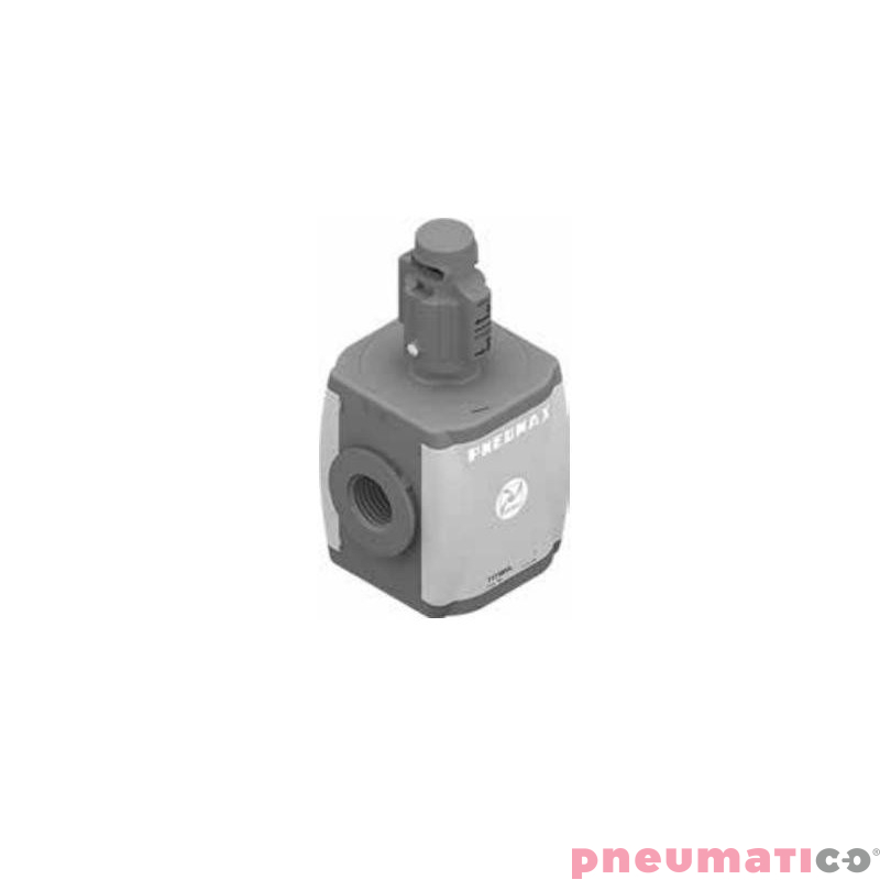 Zawór odcinający ręczny Pneumax T171BVL Zawór odcinający ręczny Pneumax T171BVL