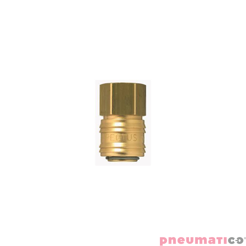 Szybkozłącze żeńskie  z gw. wew. typ 26KA 1/2" 26KAIW21MPX