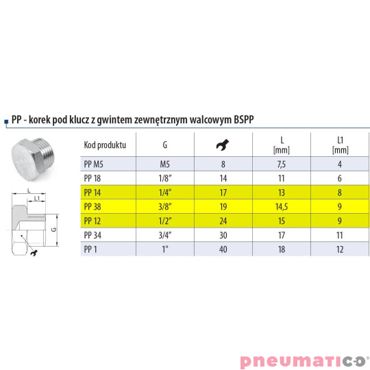 Korek - zaślepka z gwintem zewnętrznym RQS 3/8" PP38 Korek - zaślepka z gwintem zewnętrznym RQS 3/8" PP38