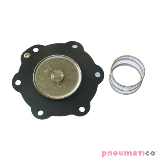 TURBO MEMBRANA DN40 NBR DP40/FP40 TRM40