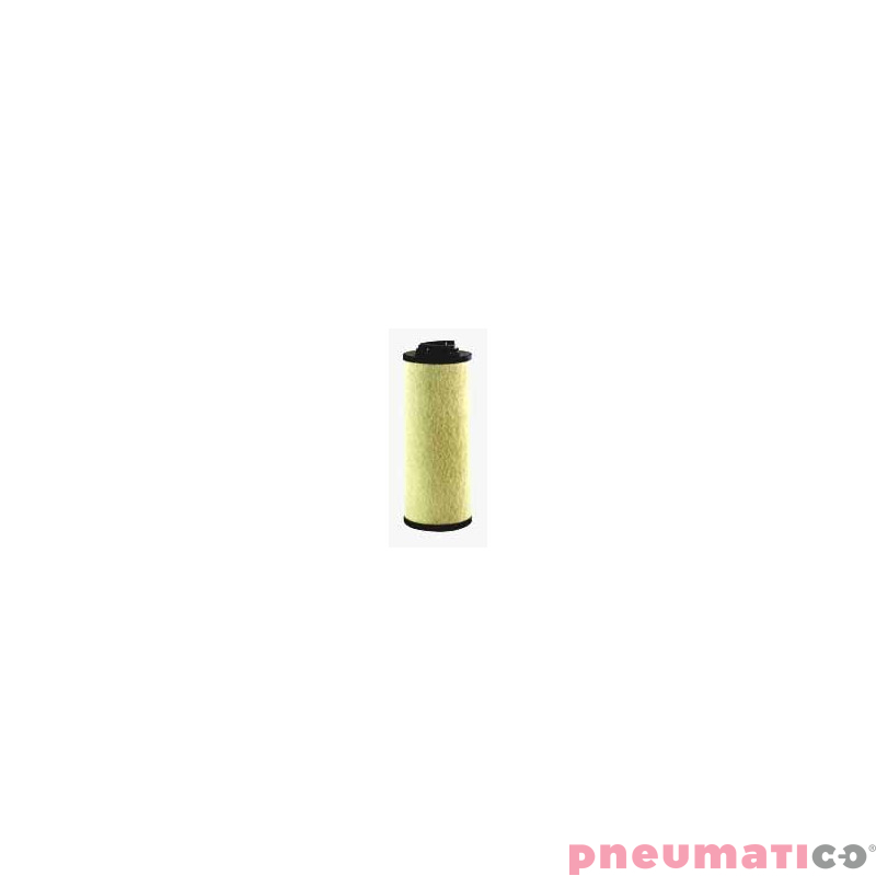 Wkład filtrujący C0030 PF do filtra OMI 04E.0180.P