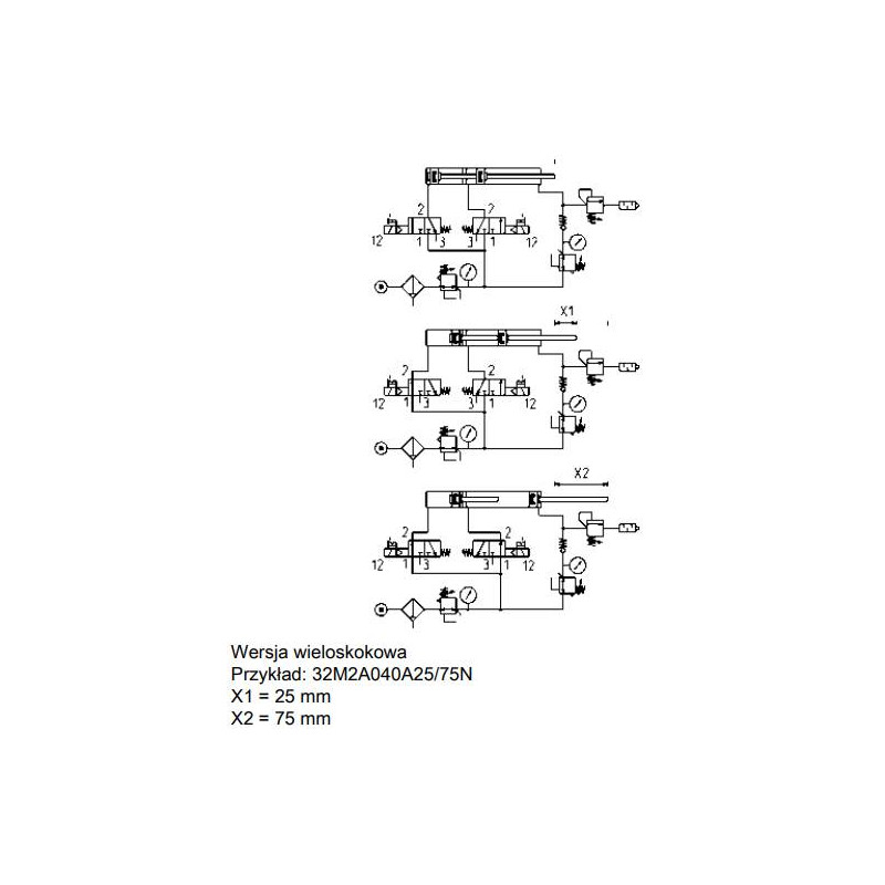 Siłownik ISO 21287 serii 32 O100 podw&oacute;jnego działania CAMOZZI 32F2A100A050