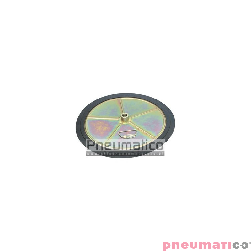 Tłoczysko - ruchome denko  do smarownicy SATRA 310mm