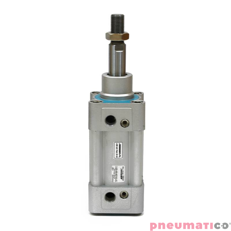 Siłownik pneumatyczny profilowy ISO15552 D50x25 PNEUMATICO CADD-050-0025-MA-EL Siłownik pneumatyczny profilowy ISO15552 D50x25 PNEUMATICO CADD-050-0025-MA-EL