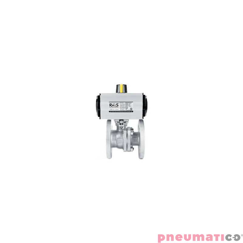 Zawór kulowy - kołnierzowy 2-częściowy TYP BV222 z napędem jednostronnego działania - PSR PSBV222 P032 S6P Zawór kulowy - kołnierzowy 2-częściowy TYP BV222 z napędem jednostronnego działania - PSR PSBV222 P032 S6P