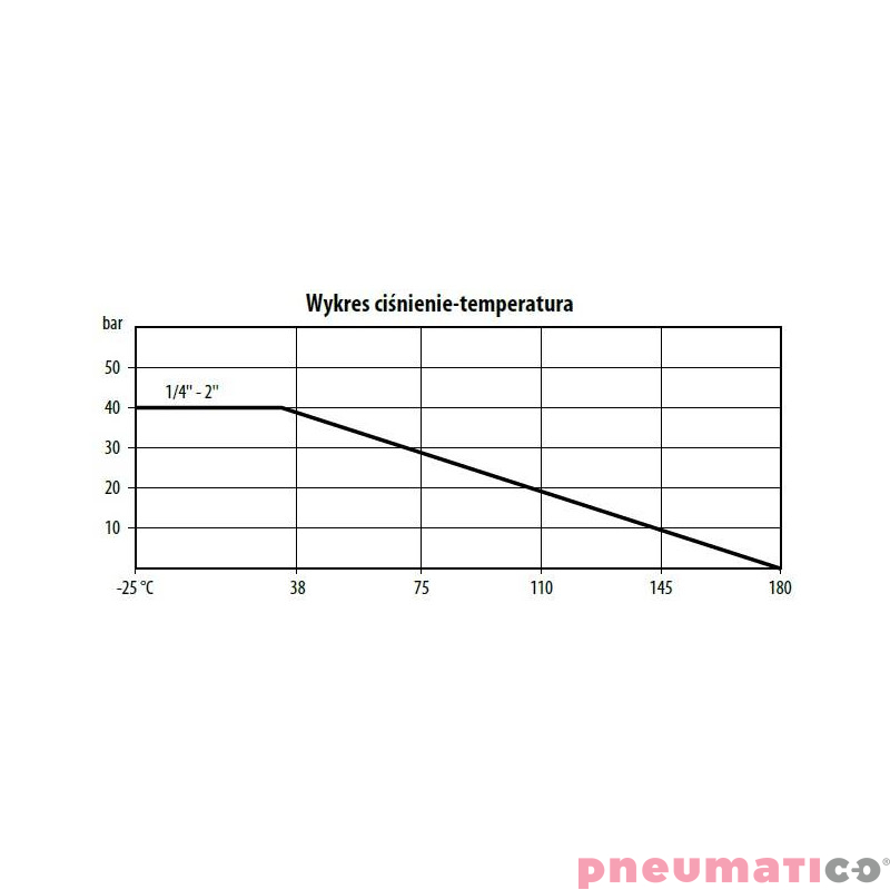 Zaw&oacute;r zwrotny kątowy ze stali nierdzewnej TYP CV110 FG06 S6P