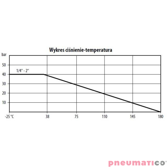 Filtr siatkowy ze stali nierdzewnej TYP SV110 FG03 S6P Filtr siatkowy ze stali nierdzewnej TYP SV110 FG03 S6P