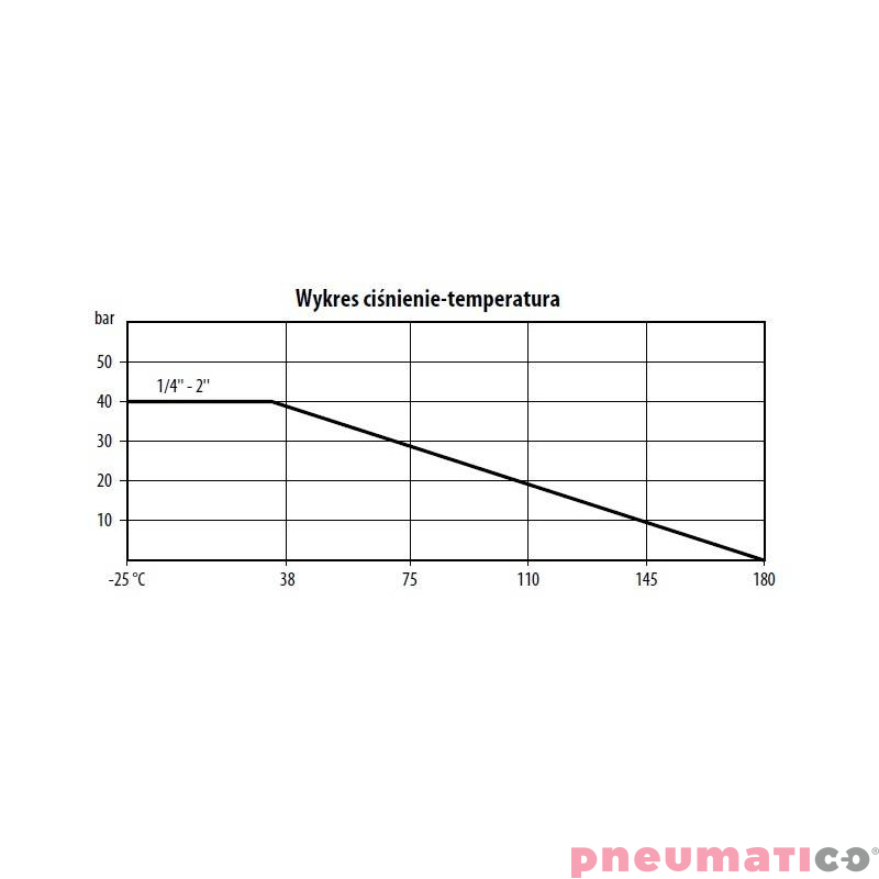 Filtr siatkowy ze stali nierdzewnej TYP SV110 FG12 S6P Filtr siatkowy ze stali nierdzewnej TYP SV110 FG12 S6P