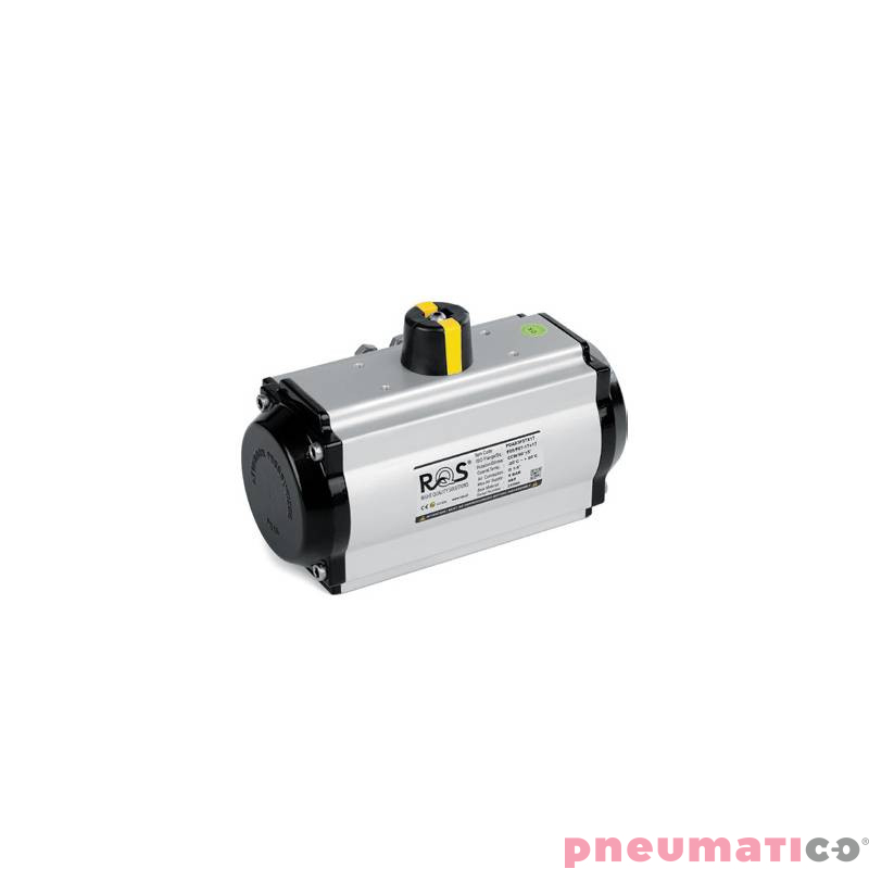 Pneumatyczny napęd obrotowy jednostronnego działania TYP PSR PSR300F16X46