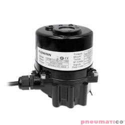 Elektryczny napęd obrotowy TYP EFMB.2/3 (X)  EFMB.3X-O-sB-K5-11F345