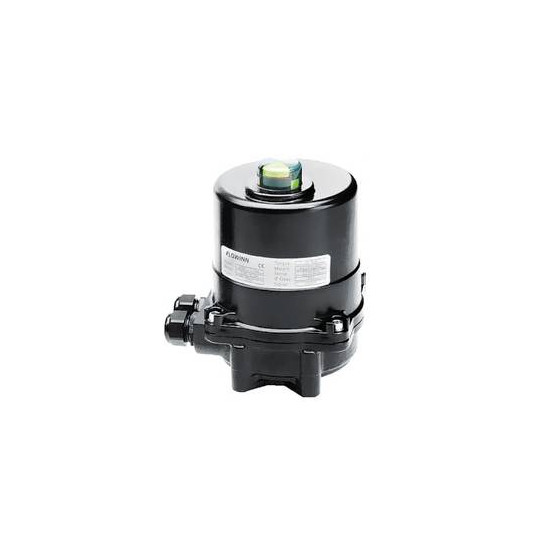 Elektryczny napęd obrotowy TYP EFM0.3/5/8 (X) przesterowanie kluczem 230 VAC EFM0.3X(H)X-0-jB-K2-14F357 RQS Elektryczny napęd obrotowy TYP EFM0.3/5/8 (X) przesterowanie kluczem 230 VAC EFM0.3X(H)X-0-jB-K2-14F357 RQS