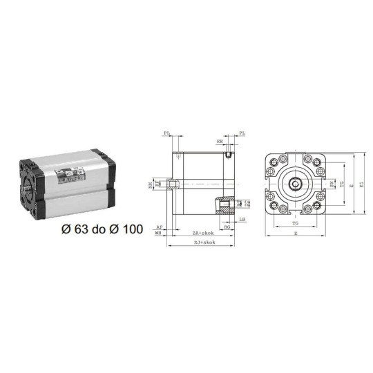 Siłownik profilowy UNITOP 1581 PNEUMAX Ø 63 skok 50 1581.63.0050.02.1 Siłownik profilowy UNITOP 1581 PNEUMAX Ø 63 skok 50 1581.63.0050.02.1