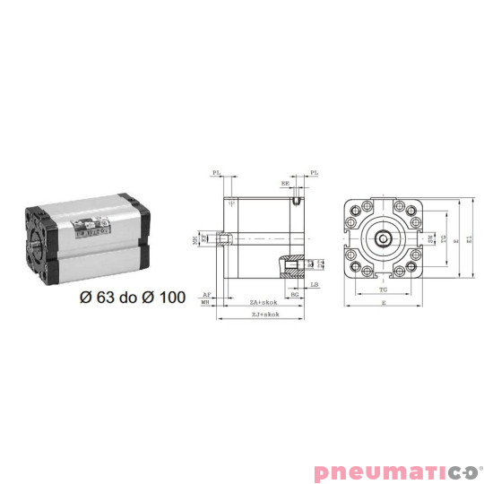Siłownik profilowy UNITOP 1581 PNEUMAX &Oslash; 80 skok 120 1581.80.0120.02.1