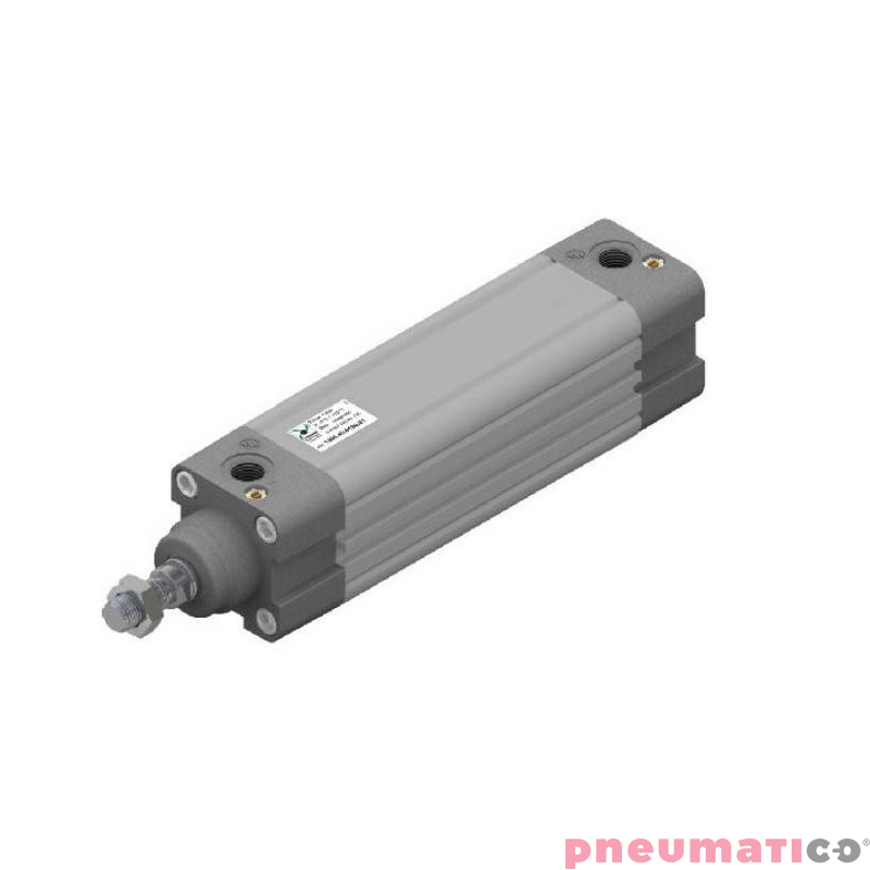 Siłownik profilowy ISO15552 1386 PNEUMAX  &Oslash; 50 skok 125 1386.50.0125.01