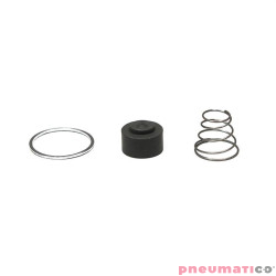 Zestaw naprawczy zaworu zwrotnego (1/2" 3/4") (1/2" 1/2") VRSET04 Quetti Luigi