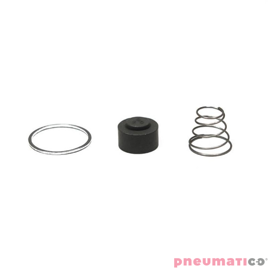 Zestaw naprawczy zaworu zwrotnego (1/2" 3/4") (1/2" 1/2") VRSET04 Quetti Luigi