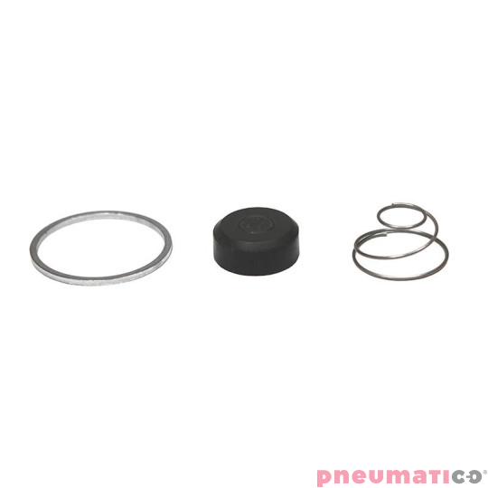 Zestaw naprawczy zaworu zwrotnego 3/4" 3/4" VRSET05 Quetti Luigi