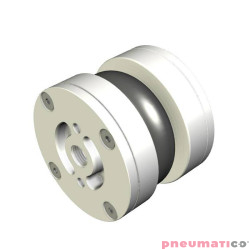 Siłownik mieszkowy RUBENA seria Dunlop 2 3/4' X1 Alum