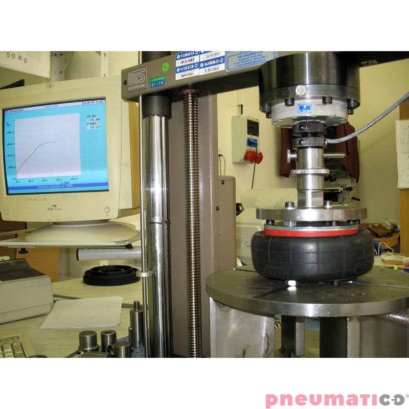 Siłownik mieszkowy RUBENA seria Dunlop 2 3/4' X1 Alum