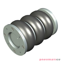 Siłownik mieszkowy Seria RUBENA 170 X3