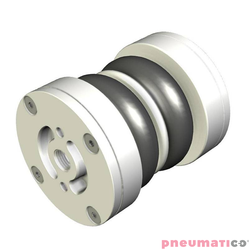 Siłownik mieszkowy RUBENA seria Dunlop 2 3/4' X2