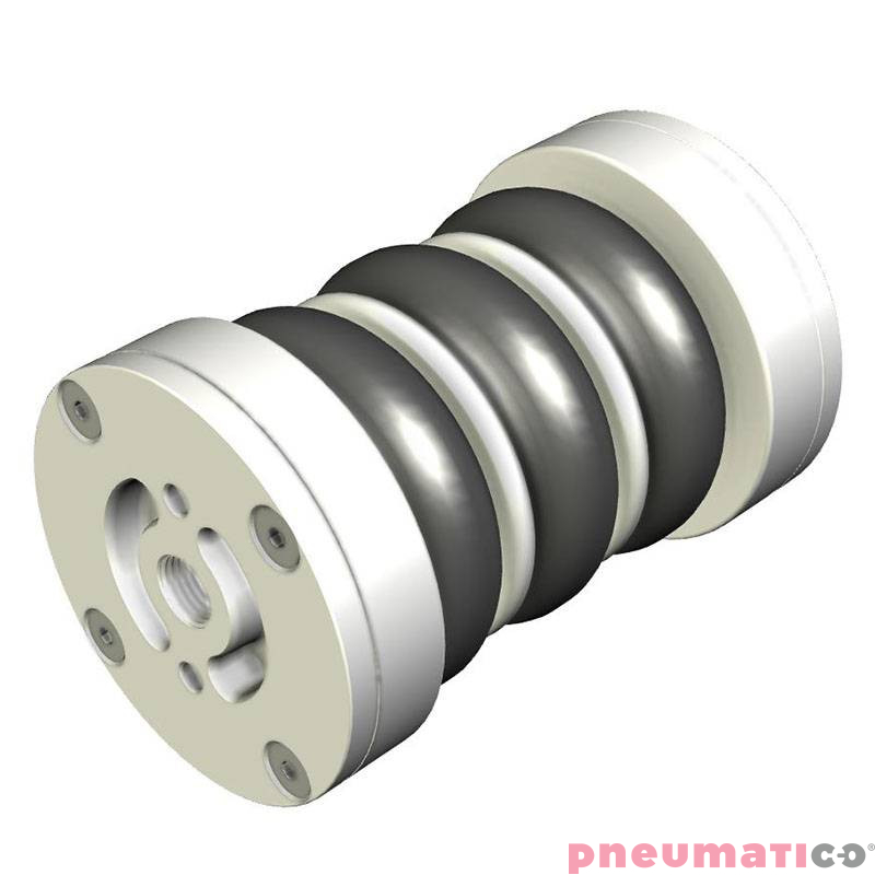 Siłownik mieszkowy RUBENA seria Dunlop 2 3/4' X3