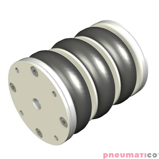 Siłownik mieszkowy RUBENA seria Dunlop 6' X3