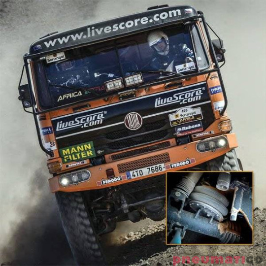 Siłownik mieszkowy RUBENA seria Dunlop 8' X2 Siłownik mieszkowy RUBENA seria Dunlop 8' X2