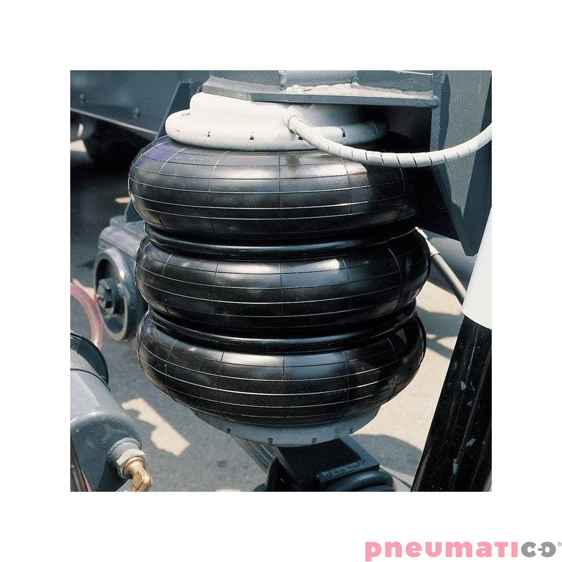 Siłownik mieszkowy RUBENA seria Dunlop 12' X3