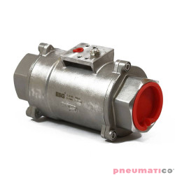 Zaw&oacute;r aksjalny nierdzewny NC SF201125GF ESG 1'