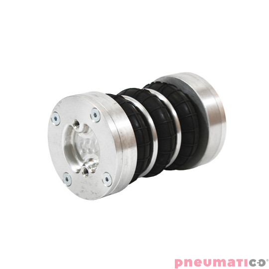 Siłownik mieszkowy RUBENA seria Dunlop 2 3/4' X3