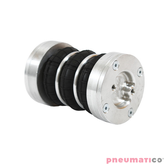 Siłownik mieszkowy Seria RUBENA 170 X3 Siłownik mieszkowy Seria RUBENA 170 X3