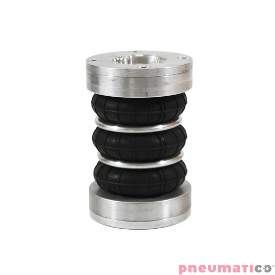 Siłownik mieszkowy Seria RUBENA 170 X3 Siłownik mieszkowy Seria RUBENA 170 X3