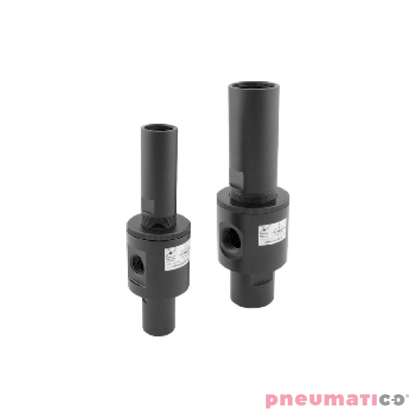 PNEUMAX 19M38.S.00.SS.RG PNEUMAX 19M38.S.00.SS.RG