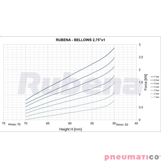 Siłownik mieszkowy RUBENA seria Dunlop 2 3/4' X1