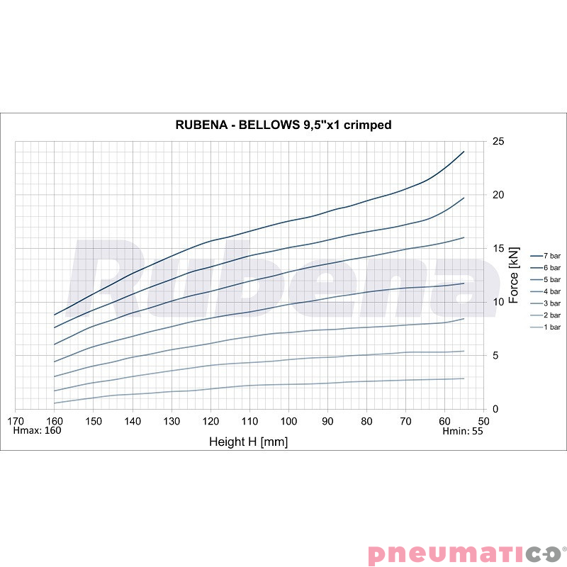 Siłownik mieszkowy RUBENA seria Dunlop 9 1/2' X1 G3/4' Siłownik mieszkowy RUBENA seria Dunlop 9 1/2' X1 G3/4'