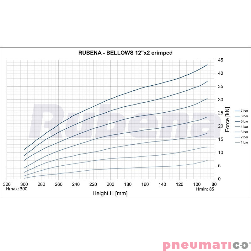 Siłownik mieszkowy RUBENA seria Dunlop 12' X2 Siłownik mieszkowy RUBENA seria Dunlop 12' X2