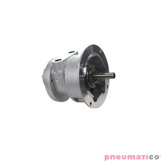 Silnik pneumatyczny GAST smarowany, TYP 6AM-ARV-54