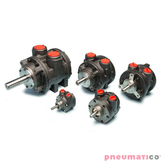 Silnik pneumatyczny GLOBE AIRMOTORS VS6C (A15006500) Silnik pneumatyczny GLOBE AIRMOTORS VS6C (A15006500)