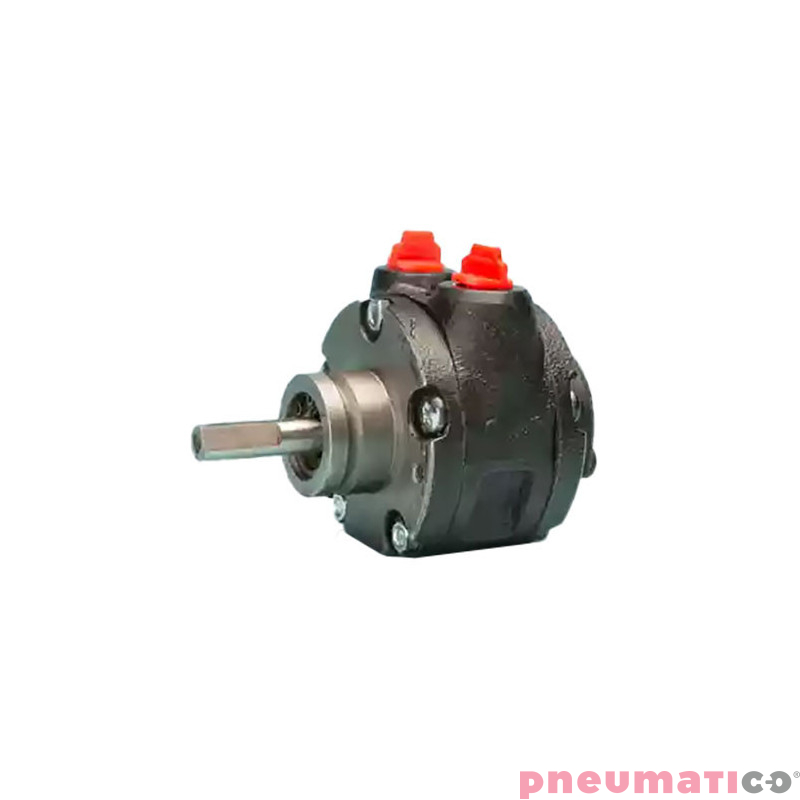 Silnik pneumatyczny GLOBE AIRMOTORS VA1X (A11001000) Silnik pneumatyczny GLOBE AIRMOTORS VA1X (A11001000)