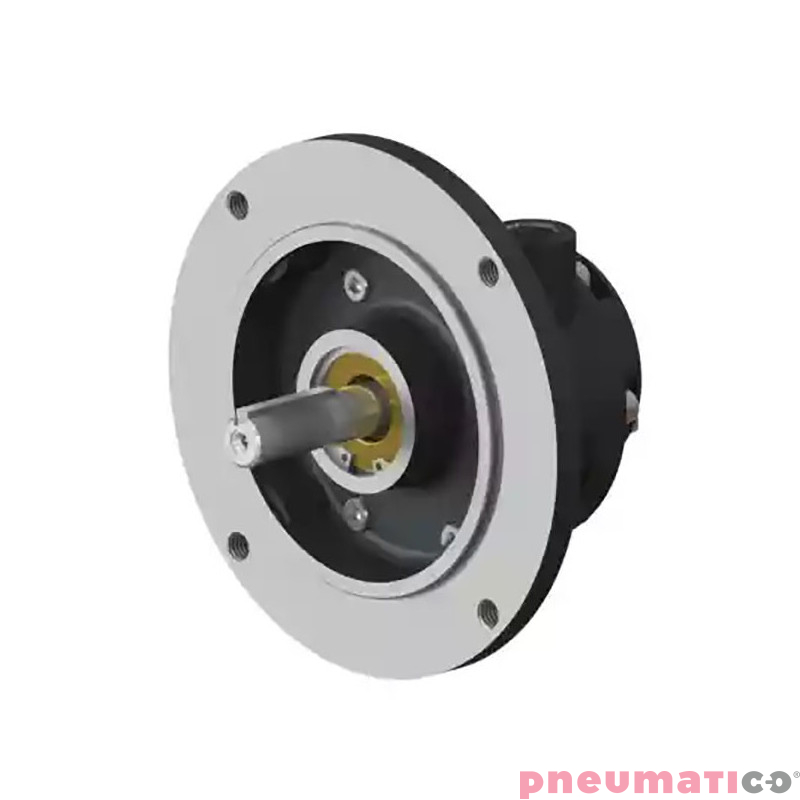 Silnik pneumatyczny GLOBE AIRMOTORS VA2J&X (A11002000) Silnik pneumatyczny GLOBE AIRMOTORS VA2J&X (A11002000)