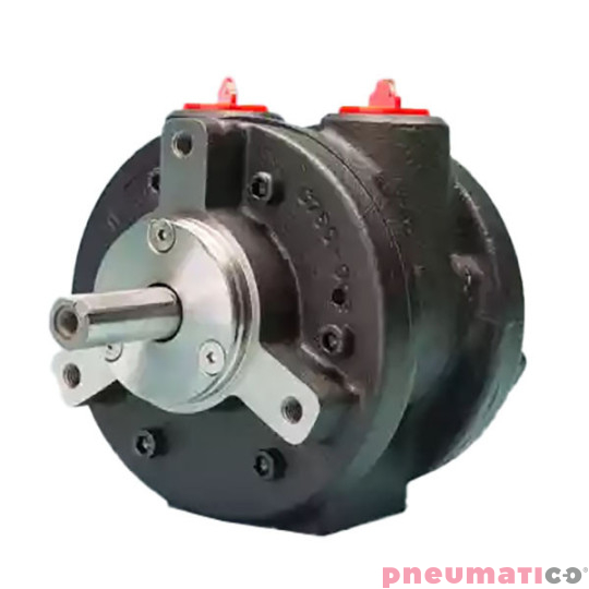 Silnik pneumatyczny GLOBE AIRMOTORS VS6C (A15006500) Silnik pneumatyczny GLOBE AIRMOTORS VS6C (A15006500)