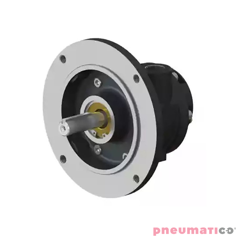 Silnik pneumatyczny GLOBE AIRMOTORS VS4C (A15004500) Silnik pneumatyczny GLOBE AIRMOTORS VS4C (A15004500)