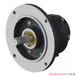 Silnik pneumatyczny GLOBE AIRMOTORS VS4C (A15004500)