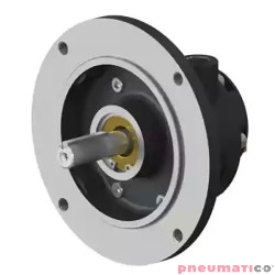 Silnik pneumatyczny GLOBE AIRMOTORS VS2C (A15002500)