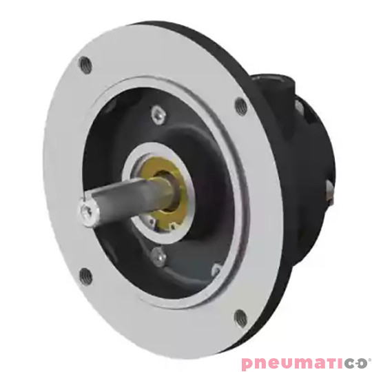 Silnik pneumatyczny GLOBE AIRMOTORS VS2C (A15002500) Silnik pneumatyczny GLOBE AIRMOTORS VS2C (A15002500)