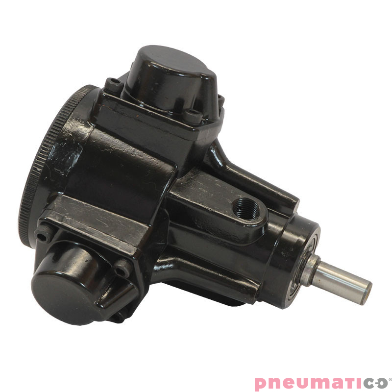 Silnik pneumatyczny do zbiorników ciśnieniowych 10-60l Pneumatico Tank MP10-1-1-08 Silnik pneumatyczny do zbiorników ciśnieniowych 10-60l Pneumatico Tank MP10-1-1-08