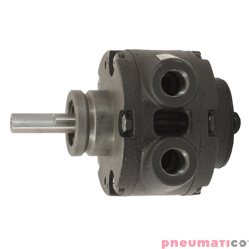 Silnik pneumatyczny GLOBE AIRMOTORS VA1X (A11001000) Silnik pneumatyczny GLOBE AIRMOTORS VA1X (A11001000)