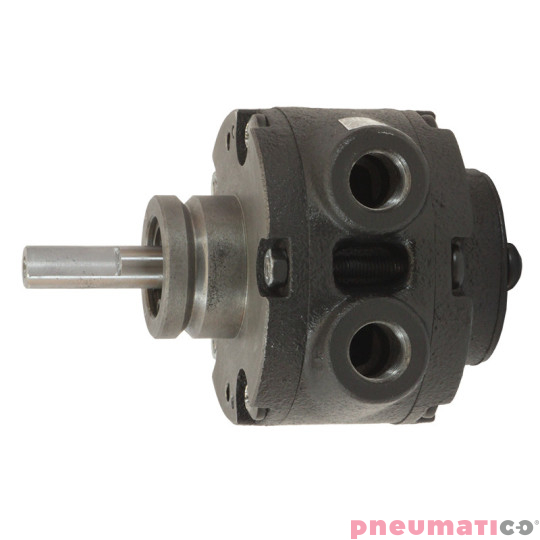 Silnik pneumatyczny GLOBE AIRMOTORS VA1X (A11001000) Silnik pneumatyczny GLOBE AIRMOTORS VA1X (A11001000)